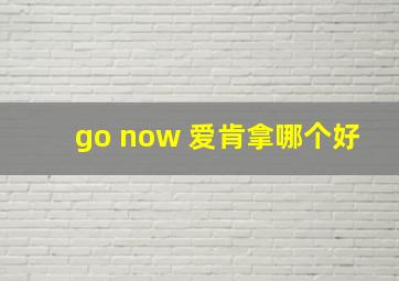 go now 爱肯拿哪个好